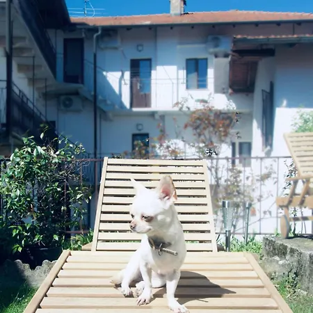 Appartement Levoasi 3 - Lake&mountain View Escape